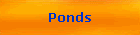 Ponds